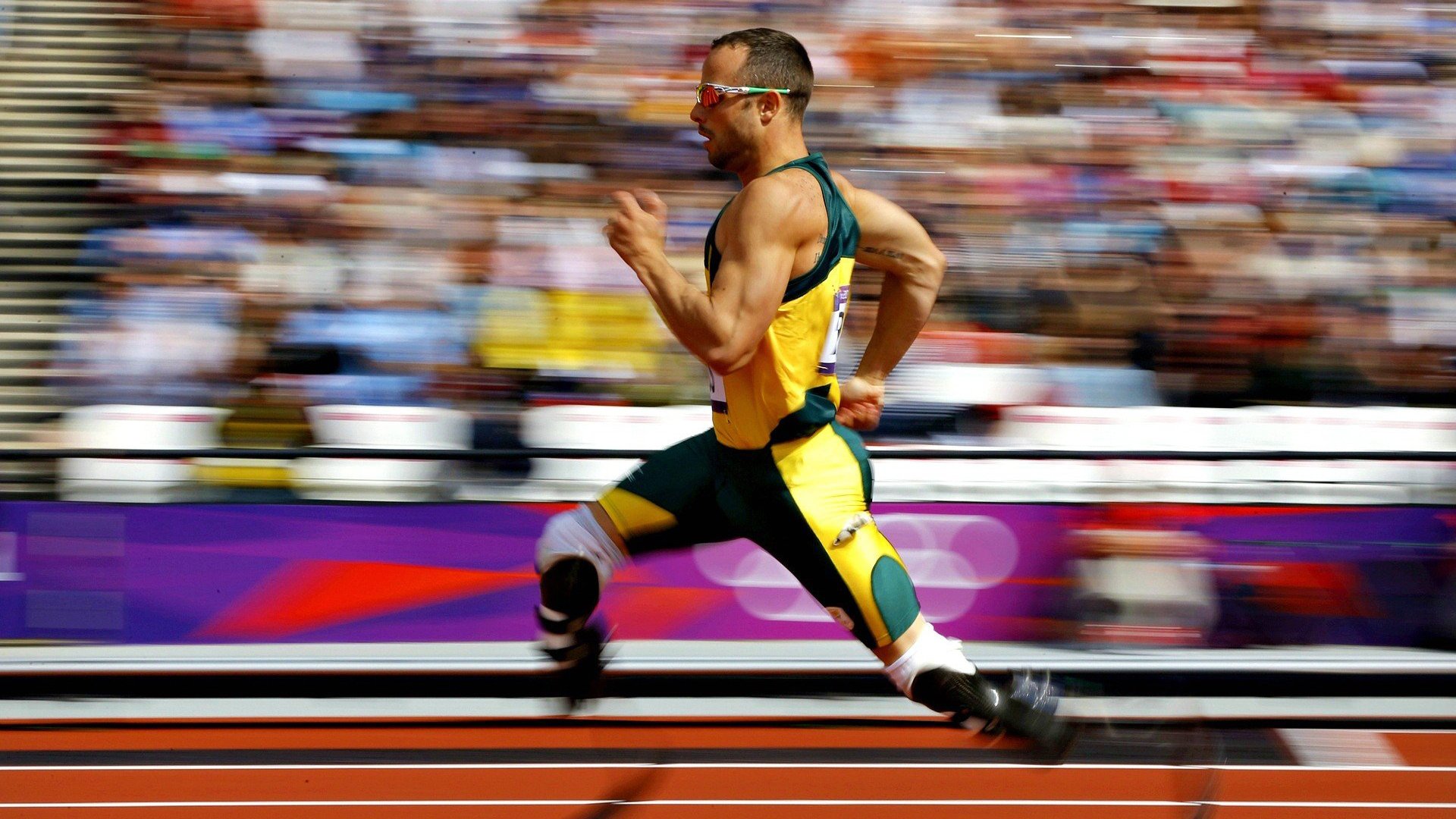 乒乓德甲俱乐部商业困境，欧洲观察带你看未来，德国乒乓球联赛收入